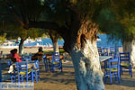 JustGreece.com Marmari Euboea | Greece | Photo 101 - Foto van JustGreece.com
