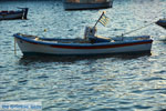 JustGreece.com Marmari Euboea | Greece | Photo 103 - Foto van JustGreece.com