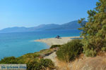 Near Golden beach Euboea | Marmari Euboea | Greece Photo 77 - Photo JustGreece.com