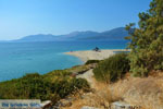 JustGreece.com Near Golden beach Euboea | Marmari Euboea | Greece Photo 78 - Foto van JustGreece.com