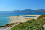 JustGreece.com Near Golden beach Euboea | Marmari Euboea | Greece Photo 85 - Foto van JustGreece.com