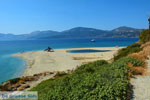 Near Golden beach Euboea | Marmari Euboea | Greece Photo 86 - Photo JustGreece.com