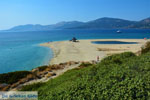 JustGreece.com Near Golden beach Euboea | Marmari Euboea | Greece Photo 89 - Foto van JustGreece.com