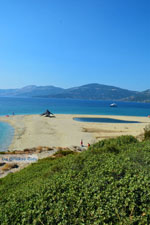 Near Golden beach Euboea | Marmari Euboea | Greece Photo 90 - Photo JustGreece.com