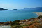 JustGreece.com Near Golden beach Euboea | Marmari Euboea | Greece Photo 92 - Foto van JustGreece.com