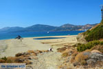 Near Golden beach Euboea | Marmari Euboea | Greece Photo 95 - Photo JustGreece.com
