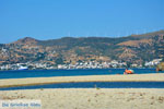 Near Golden beach Euboea | Marmari Euboea | Greece Photo 97 - Photo JustGreece.com