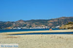JustGreece.com Near Golden beach Euboea | Marmari Euboea | Greece Photo 98 - Foto van JustGreece.com