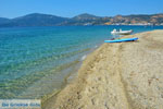JustGreece.com Near Golden beach Euboea | Marmari Euboea | Greece Photo 107 - Foto van JustGreece.com