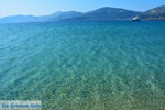 Near Golden beach Euboea | Marmari Euboea | Greece Photo 116 - Photo JustGreece.com