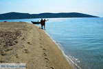 JustGreece.com Near Golden beach Euboea | Marmari Euboea | Greece Photo 117 - Foto van JustGreece.com