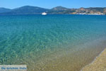 Near Golden beach Euboea | Marmari Euboea | Greece Photo 118 - Photo JustGreece.com